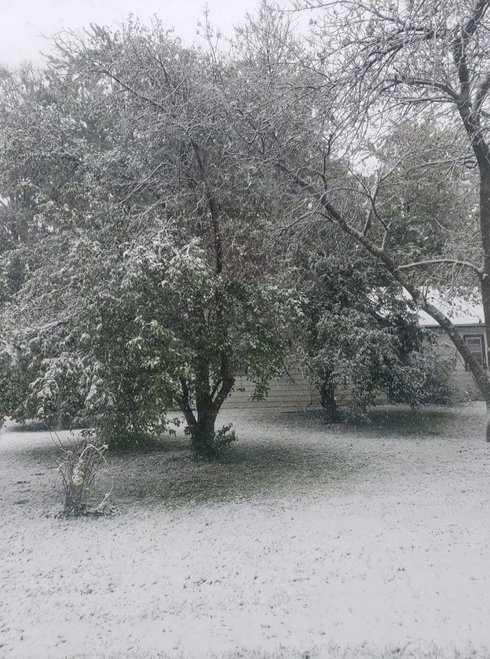Snow, 10/14